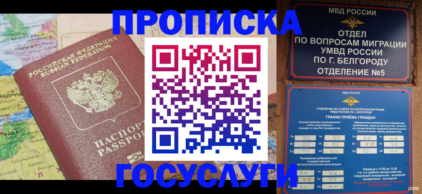 прописка регистрация в Ленинградской области